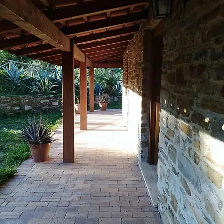 Il Mandorlo *